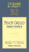 Due Torri - Pinot Grigio Friuli 2020 (1.5L) (1.5L)