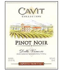 Cavit - Pinot Noir Trentino 2020 (1.5L) (1.5L)