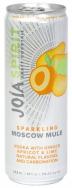 Joia - Sparkling Moscow Mule (355ml)