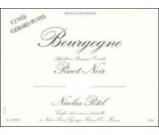 Nicolas Potel - Bourgogne Rouge Cuvee Gerard Potel Pinot Noir 2020